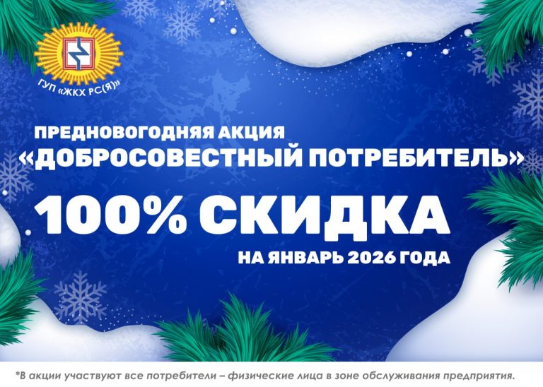 Акция к Новому году «Добросовестный потребитель»